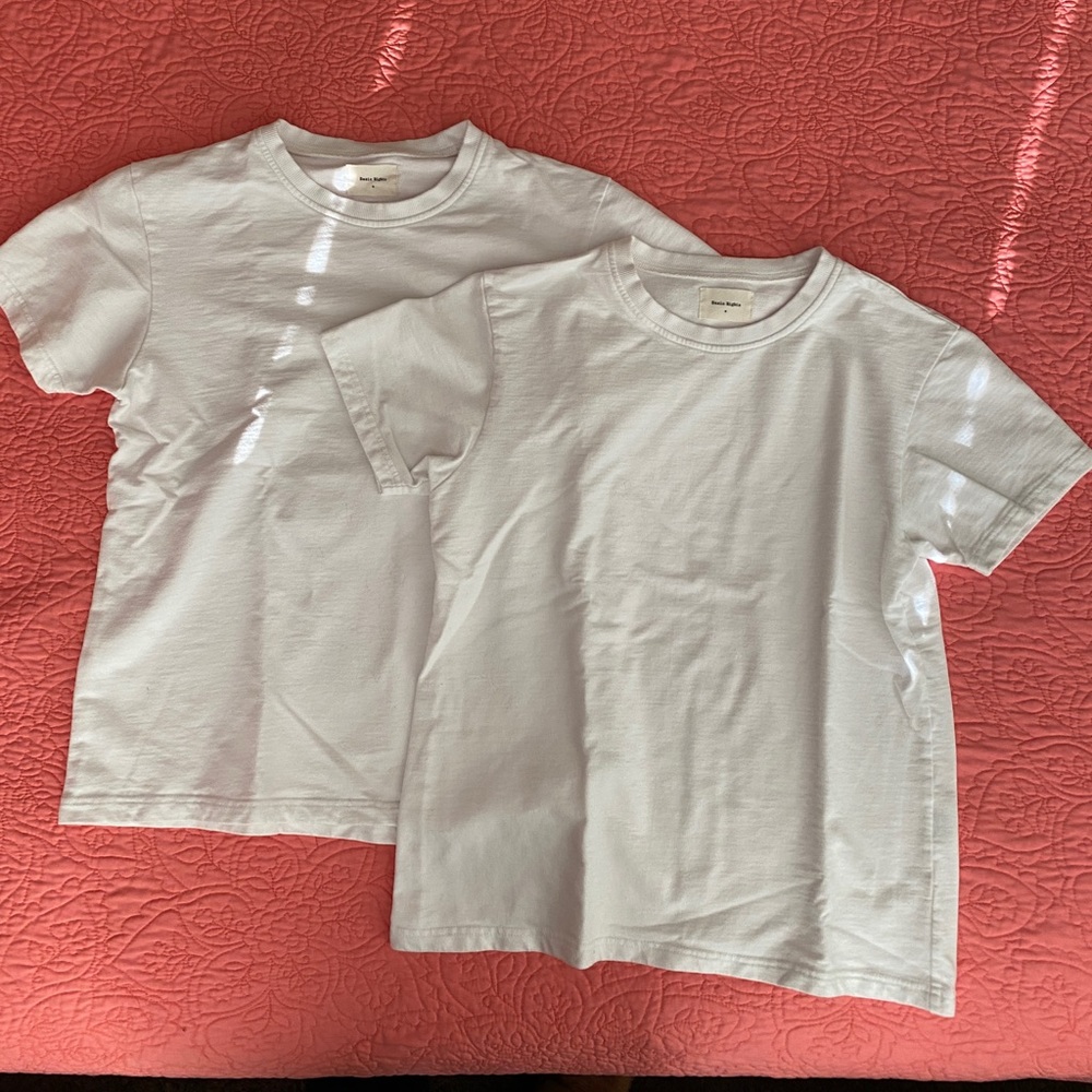 Basic Rights MENS size medium. Thick cotton terry T-shirt Qty: 2